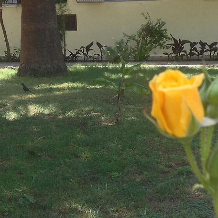 Ilkiz Beach Hotel Oludeniz Bagian luar foto