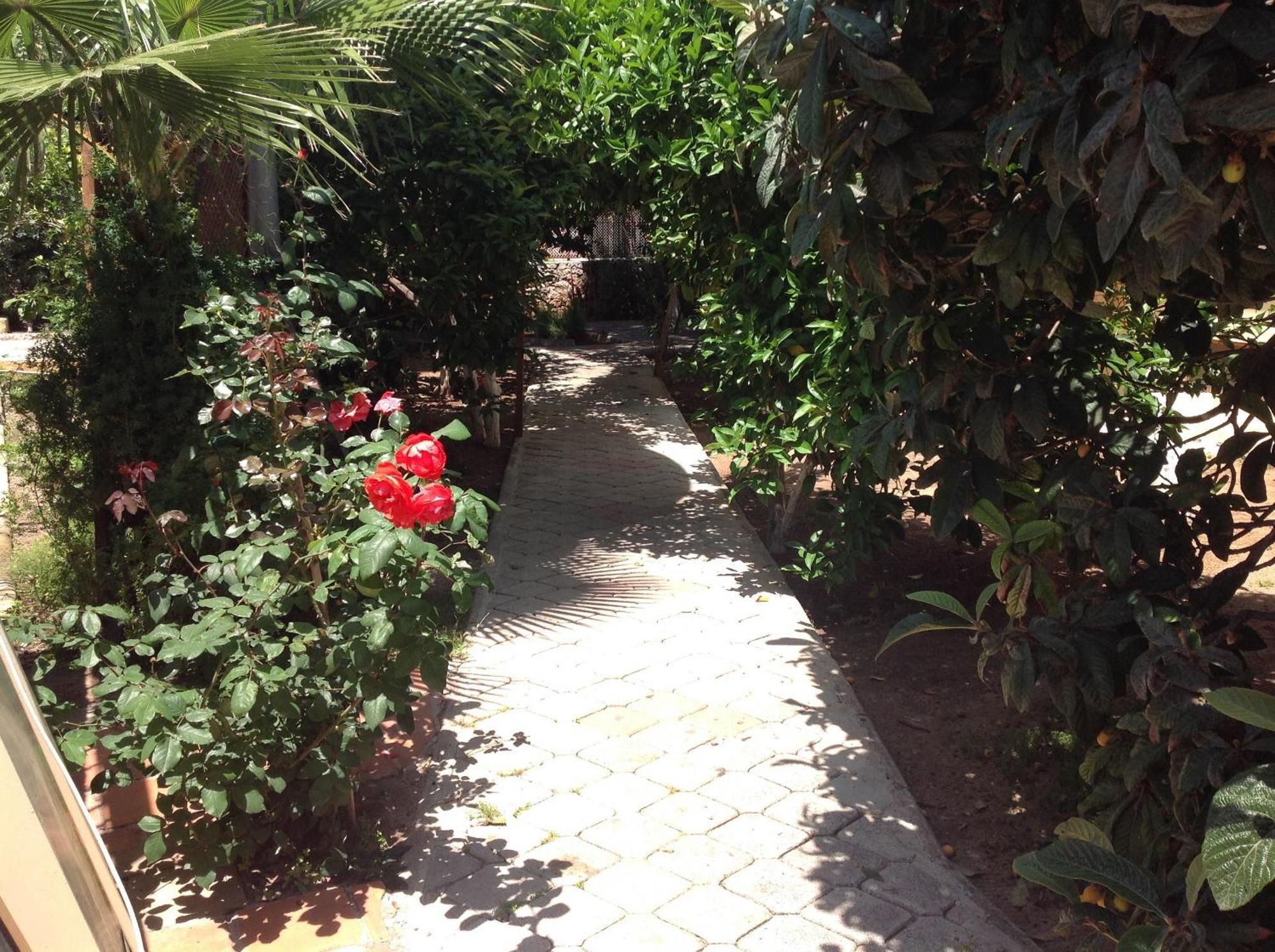 Ilkiz Beach Hotel Oludeniz Bagian luar foto