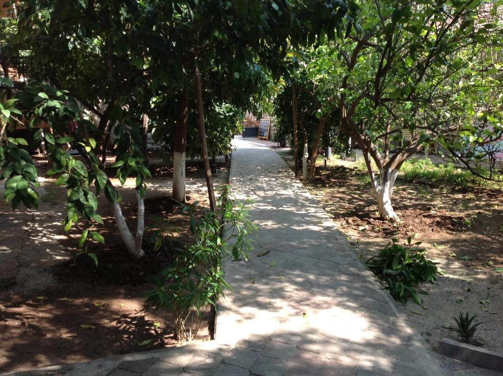 Ilkiz Beach Hotel Oludeniz Bagian luar foto
